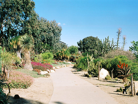 Foto Balboa Park