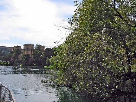 Palace of Fine Arts - Kalifornien