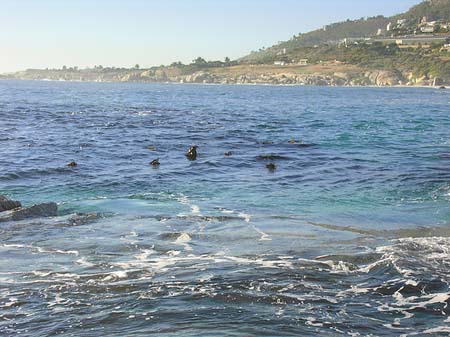 Blick vom Strand auf das Meer - Westliches Kap