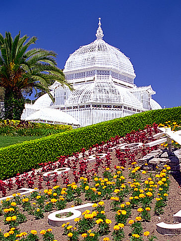 Conservatory of Flowers Ansicht Reiseführer  