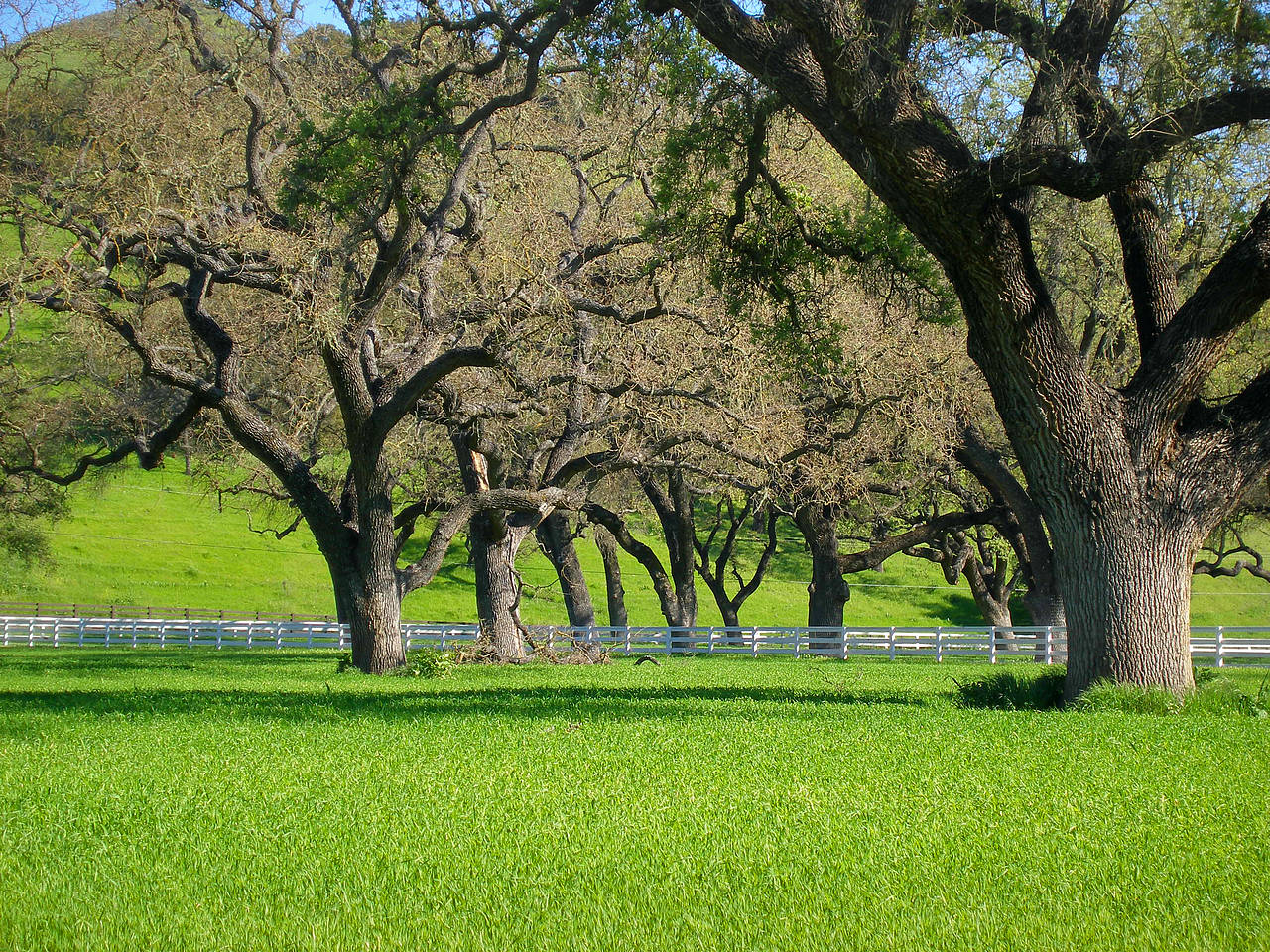 Foto Santa Ynez Valley