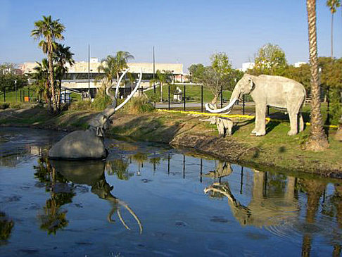 Fotos La Brea Tar Pits