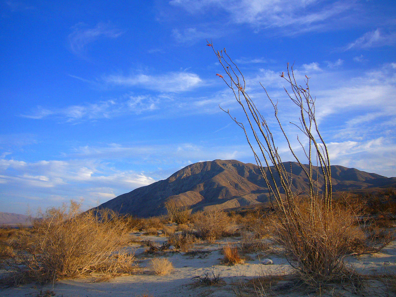 Fotos Anza Borrego Desert SP