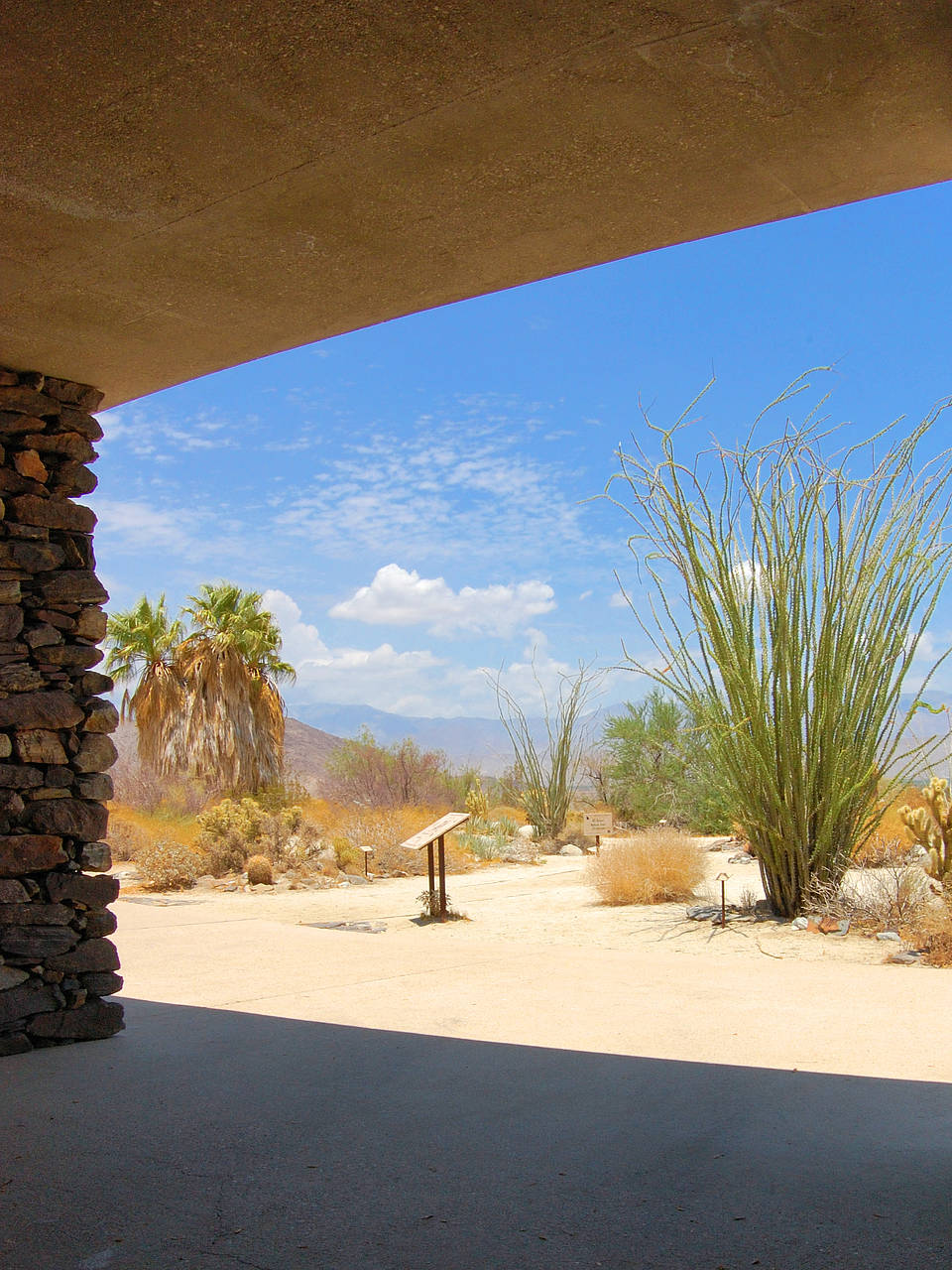 Fotos Anza Borrego Desert SP | 