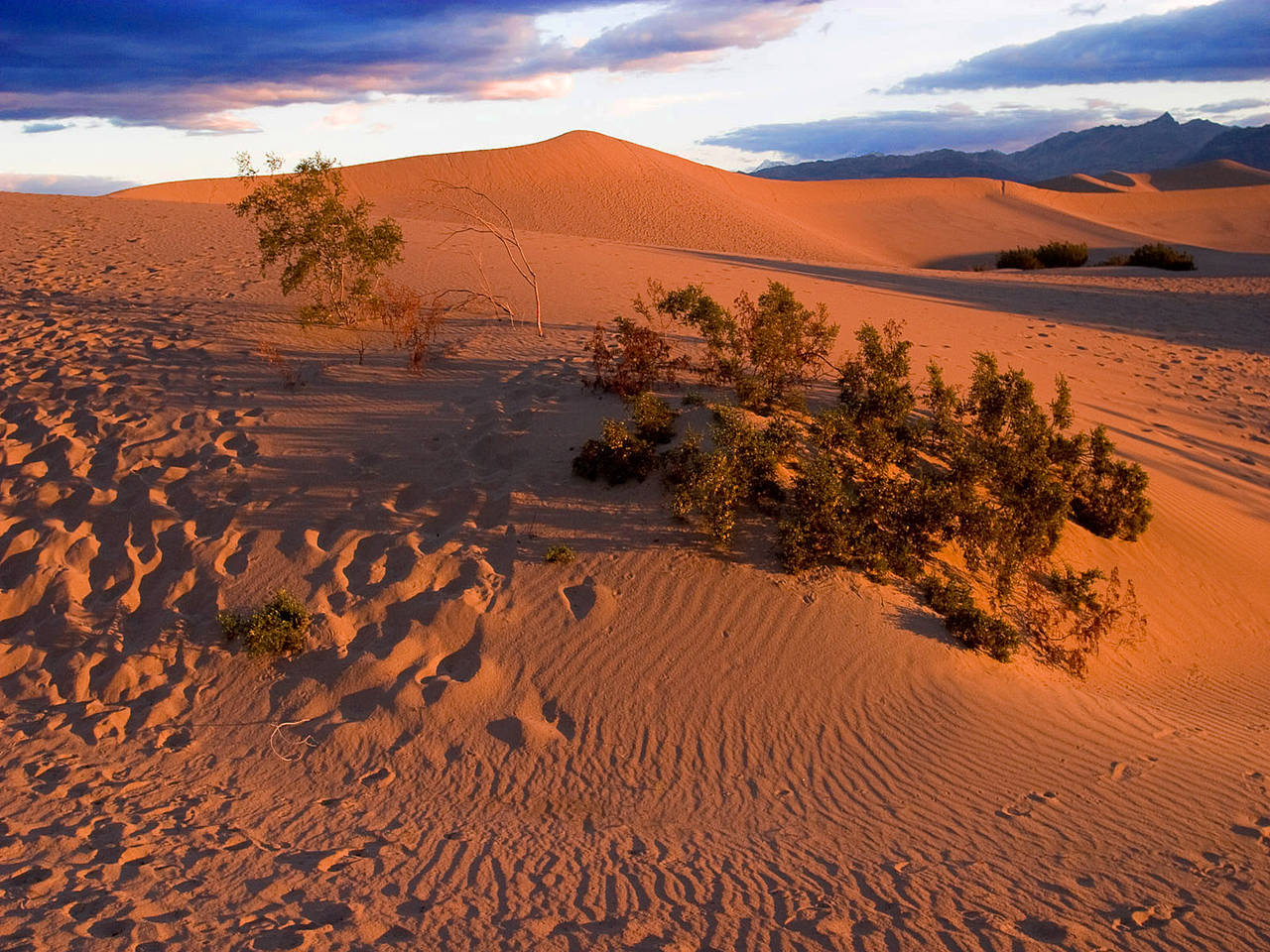 Stovepipe Wells Foto 