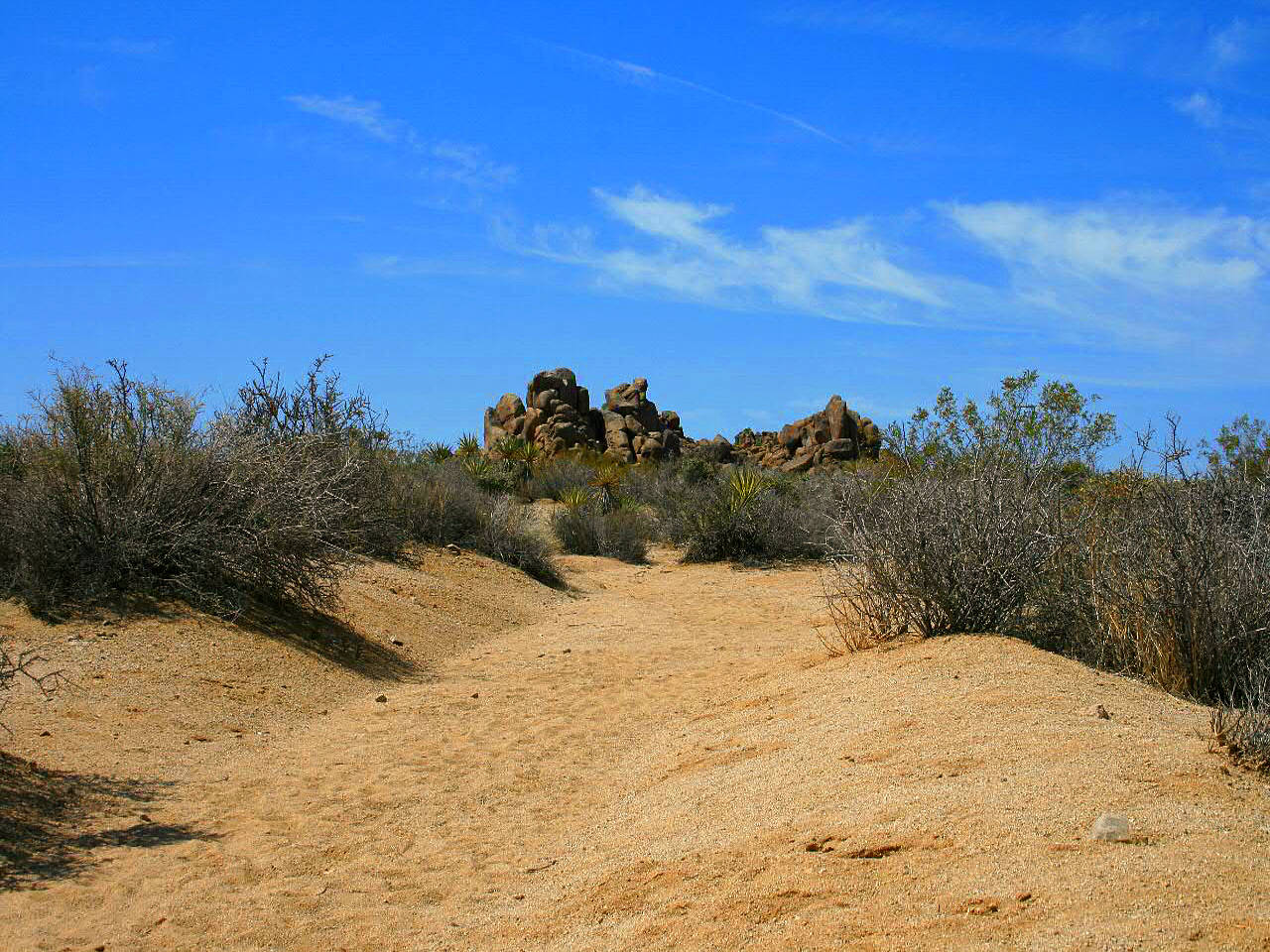 Joshua Tree NP Fotos