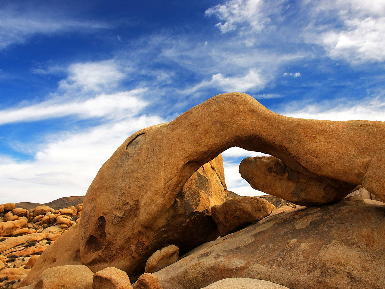 Joshua Tree NP Foto 