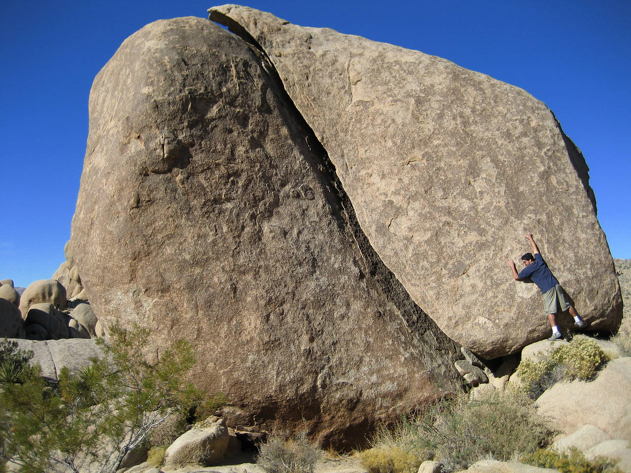 Joshua Tree NP Fotos