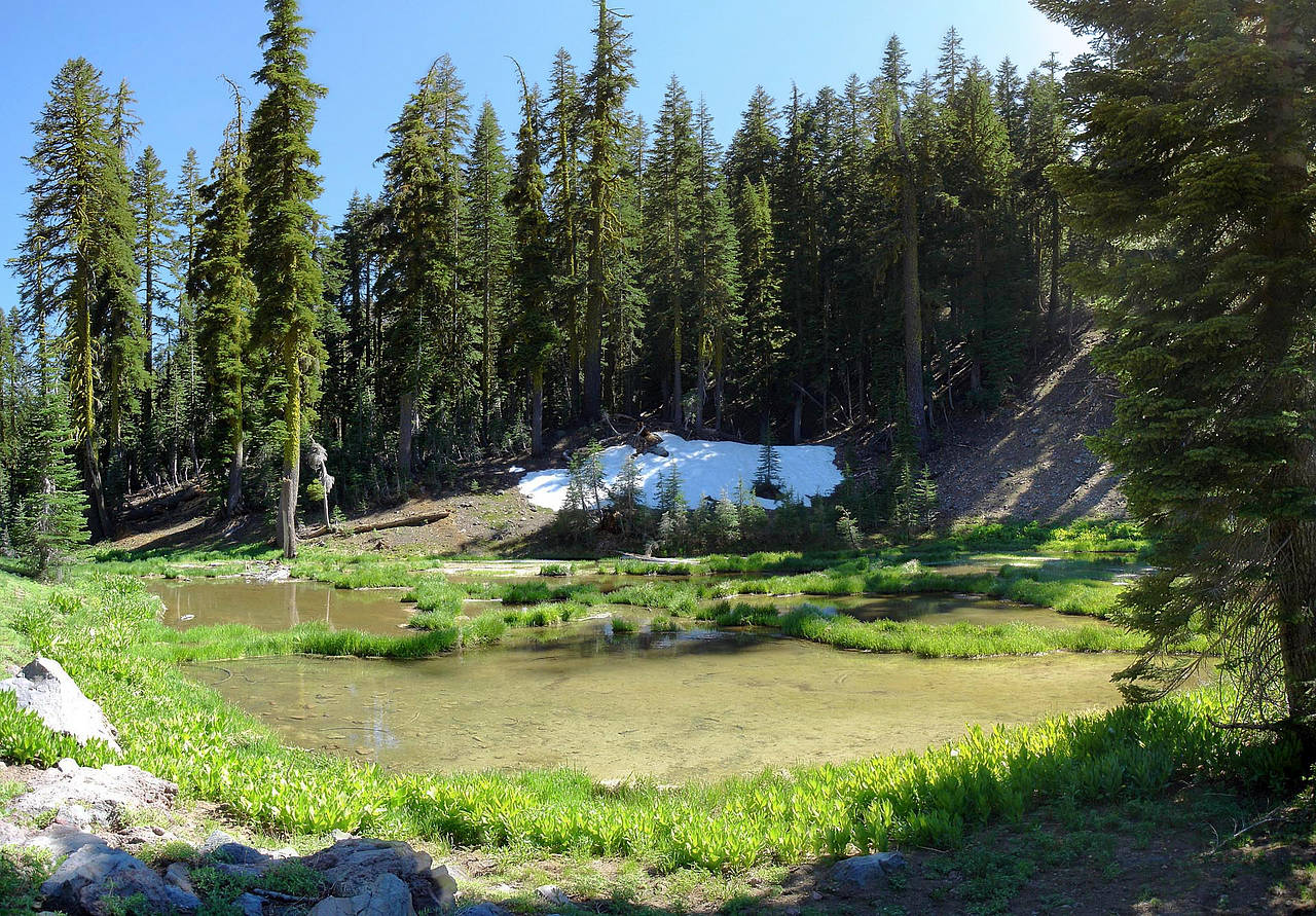 Fotos Lassen Volcanic NP | 