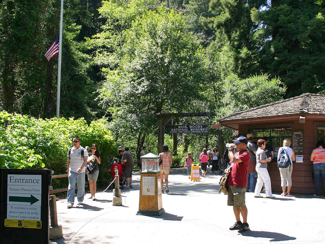 Fotos Muir Woods National Monument