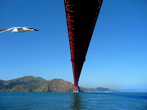 Golden Gate Bridge Foto 