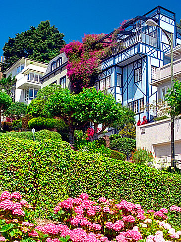 Fotos Lombard Street | San Francisco