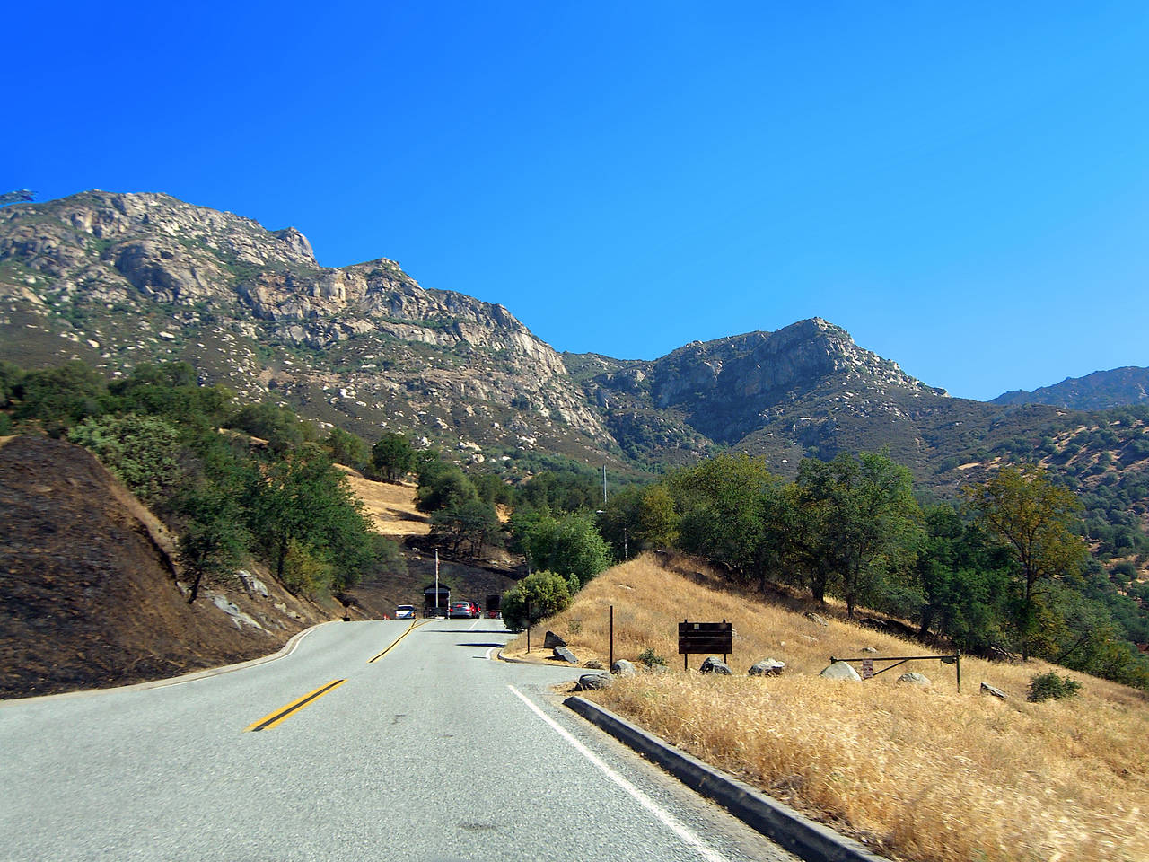 Sequoia NP