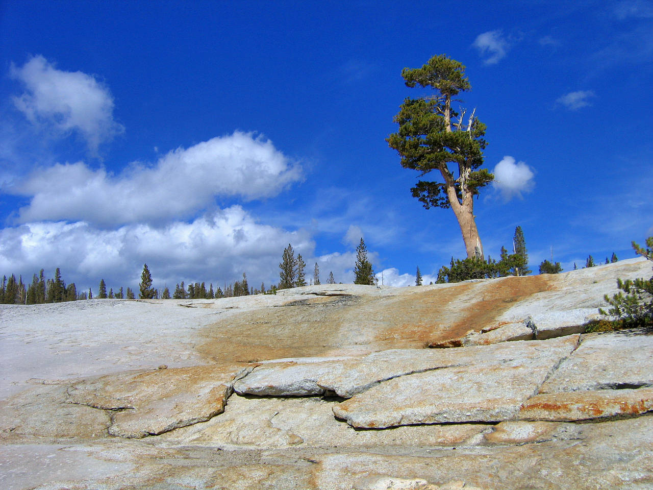 Fotos Yosemite Valley | 