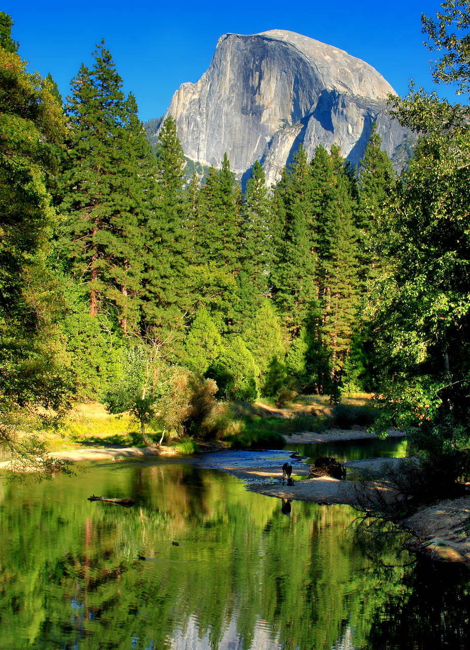 Yosemite NP Foto 