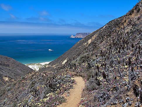 Channel Islands - Kalifornien ()