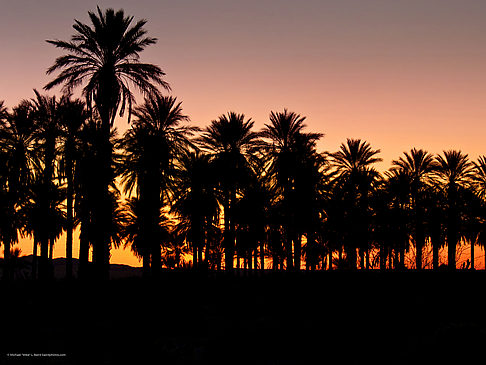 Foto Anza Borrego Desert SP - 