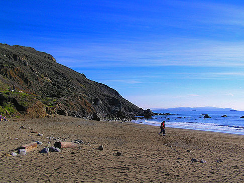 Muir Woods National Monument - Kalifornien (Mill Valley)