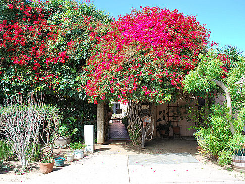 Old Town - Kalifornien (San Diego)